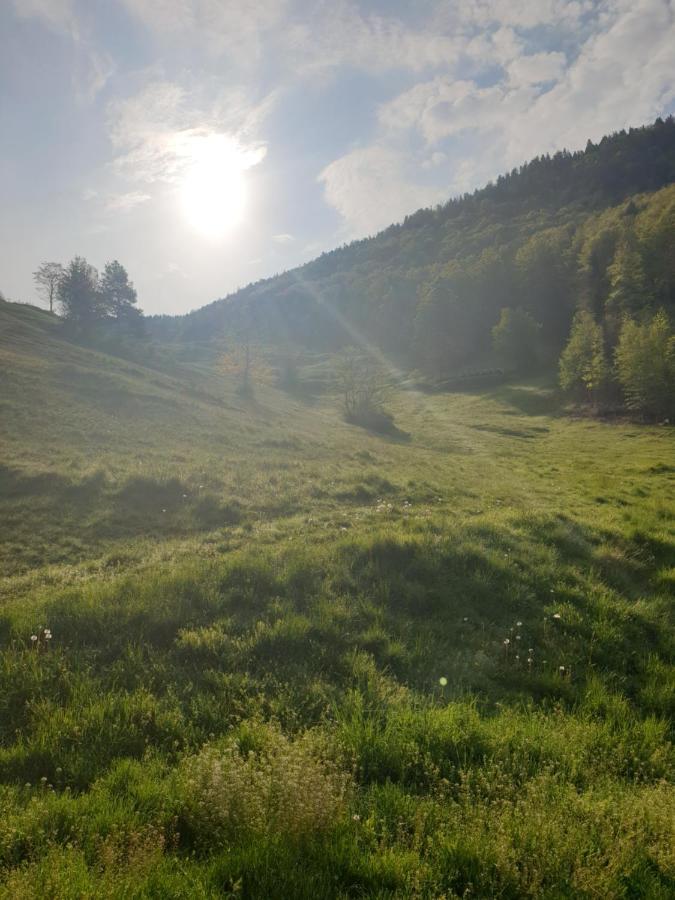 Agréable chambre d'hôtes, au calme, dans la nature Roches Exterior foto