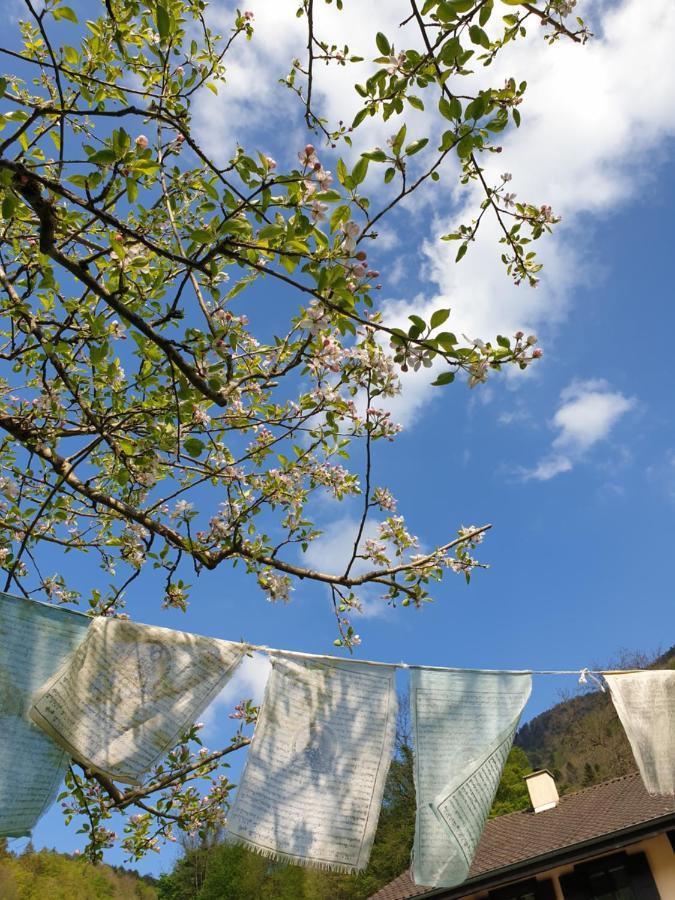 Agréable chambre d'hôtes, au calme, dans la nature Roches Exterior foto