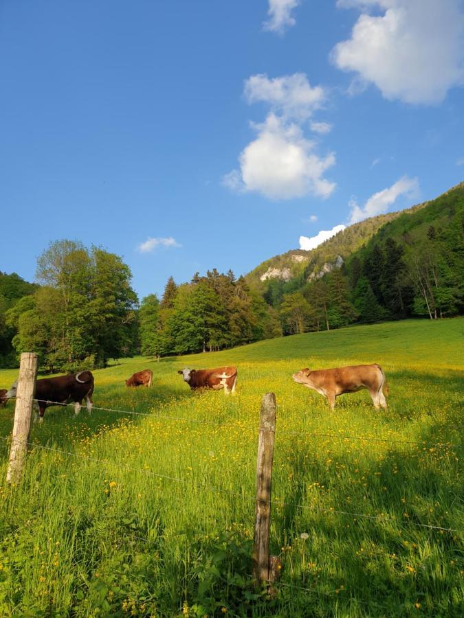 Agréable chambre d'hôtes, au calme, dans la nature Roches Exterior foto