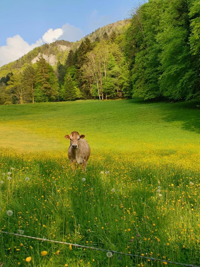 Agréable chambre d'hôtes, au calme, dans la nature Roches Exterior foto